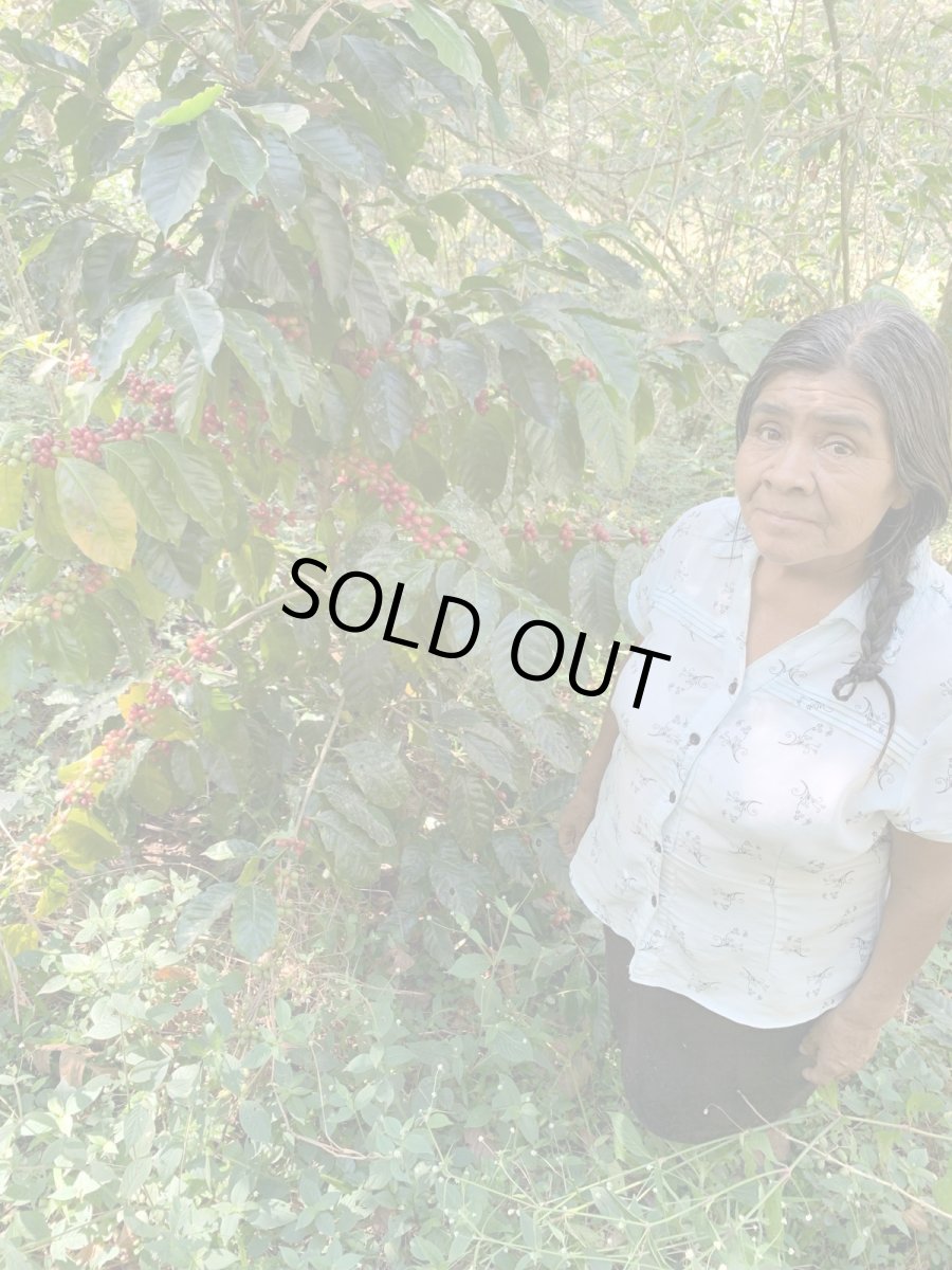 画像5: メキシコ　オアハカ　サン・フアン・フキラ村　５００ｇ (5)