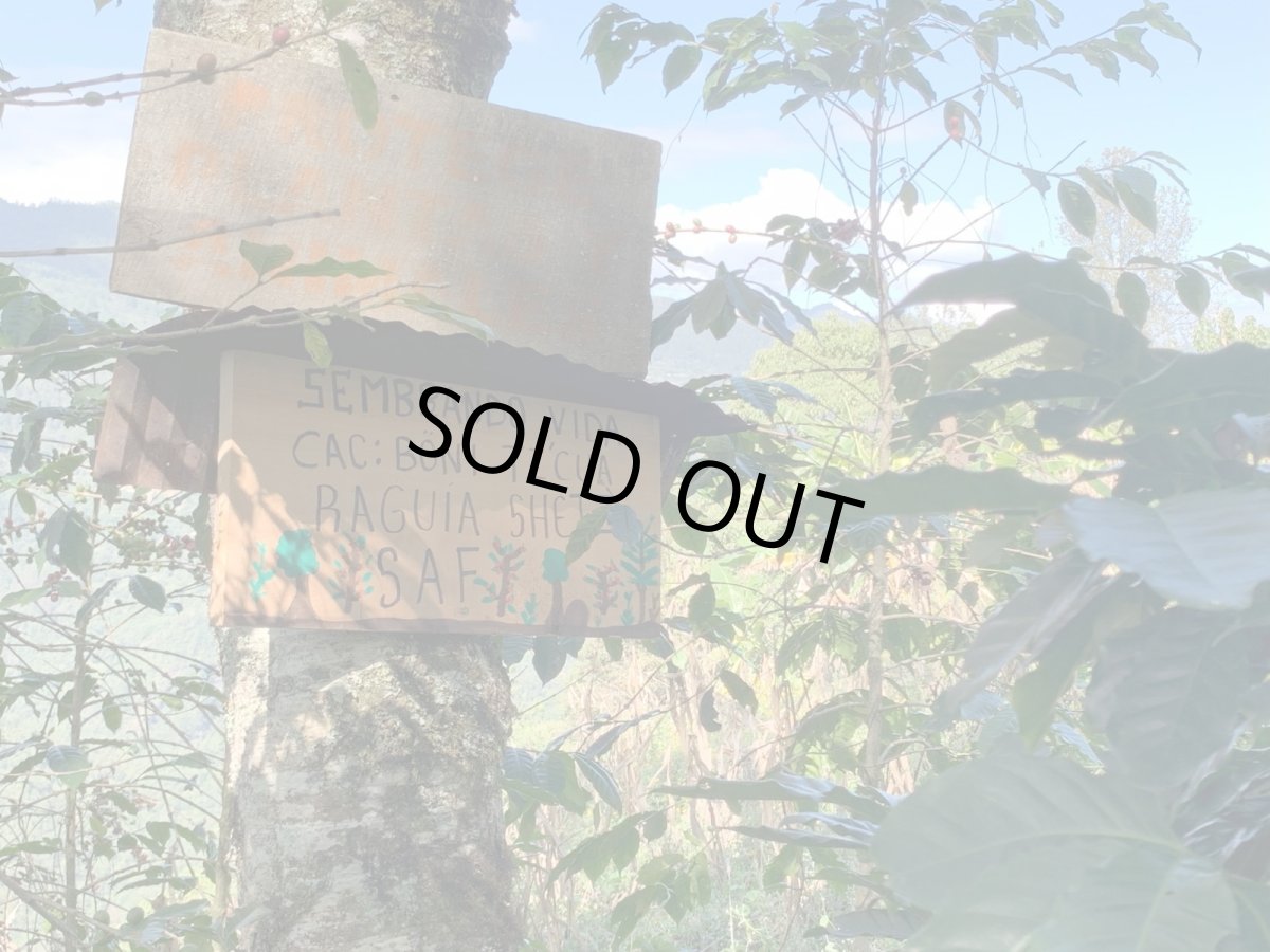 画像7: メキシコ　オアハカ　サン・フアン・フキラ村　５００ｇ (7)